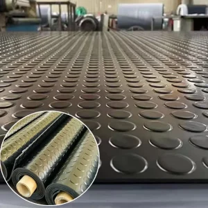 Waterproof Anti Slip Floor Mats Coin Rubber Protection