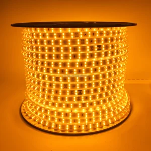 Wireless AC220V AC240V 2835 120 Led 100m roll Waterproof IP66 Outdoor Flexible Highlight Led Strip Light