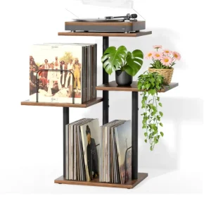 Wooden Multi-Functional Display Stand with Iron Frame for CD Storage or Books