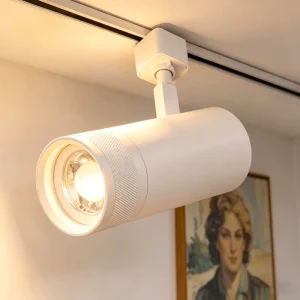 Zoomable 8W 24W Adjustable 5CCT Switchable White Black Aluminum COB LED Track Spotlight for Supermarket