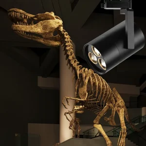 Zoomable CRI 95 COB LED Anti-Glare Track Light 24W 35W Dimmable Aluminum Spotlight for Museums and Offices